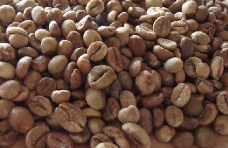 Caffè Varietà ROBUSTA, conosciamola meglio